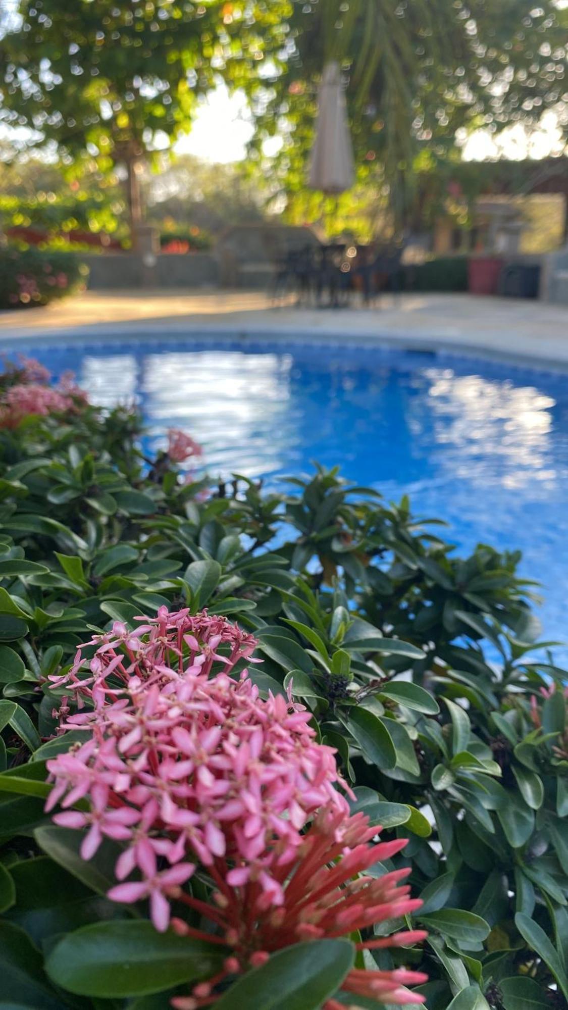 Casas Del Toro Playa Flamingo Aparthotel Εξωτερικό φωτογραφία